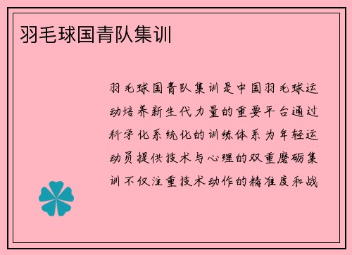 羽毛球国青队集训
