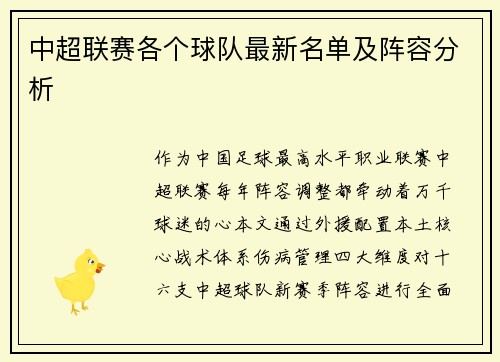 中超联赛各个球队最新名单及阵容分析