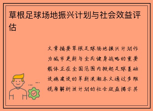 草根足球场地振兴计划与社会效益评估